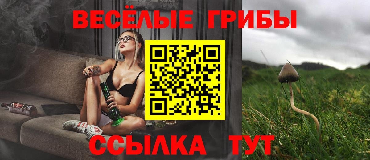 Псилоцибиновые грибы Psilocybe  Вход с VPN  Жуковский 